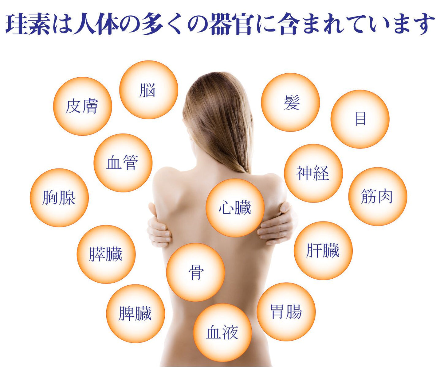 Theory-M | 水溶性珪素濃縮溶液